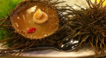 In China they have a lot of Exotic Food,  'Abalone' is a good one