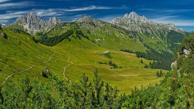 July 2015

Tannheimer Berge 

Koellenspitze (2.238 m) , Schneid (2.009 m) and Gehrenspitze (2.163 m) as seen from the route to Hahnenkamm from the cable car station near Reutte in Tyrolian Austria. 
These summits belong to Tannheimer Berge (mountains) which are part of the Allgaeuer Alps. 