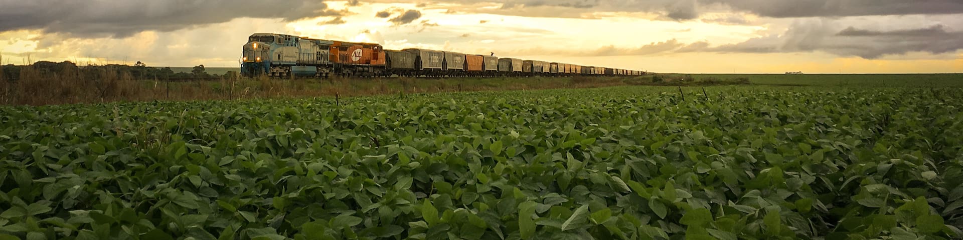 MT 100, trecho entre Alto Araguaia e Alto Taquari.