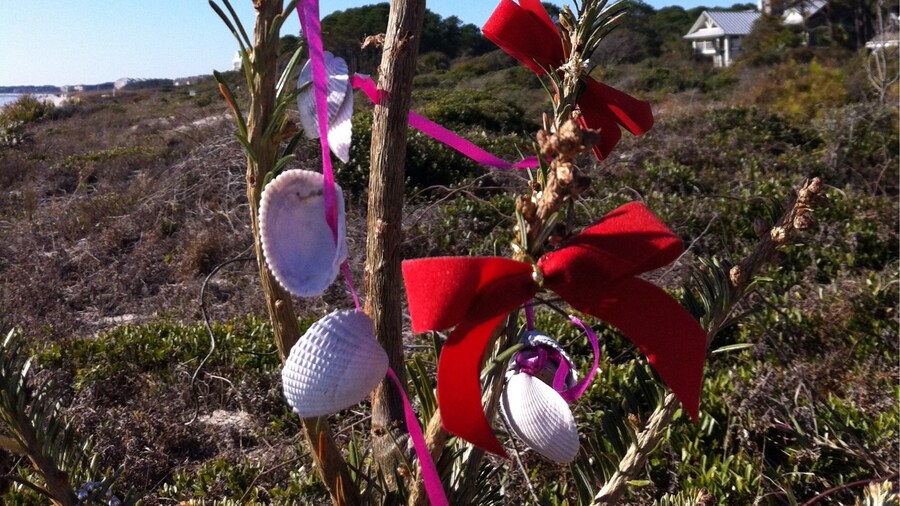 A stroll on the beach during be holiday season led me to this "tree"