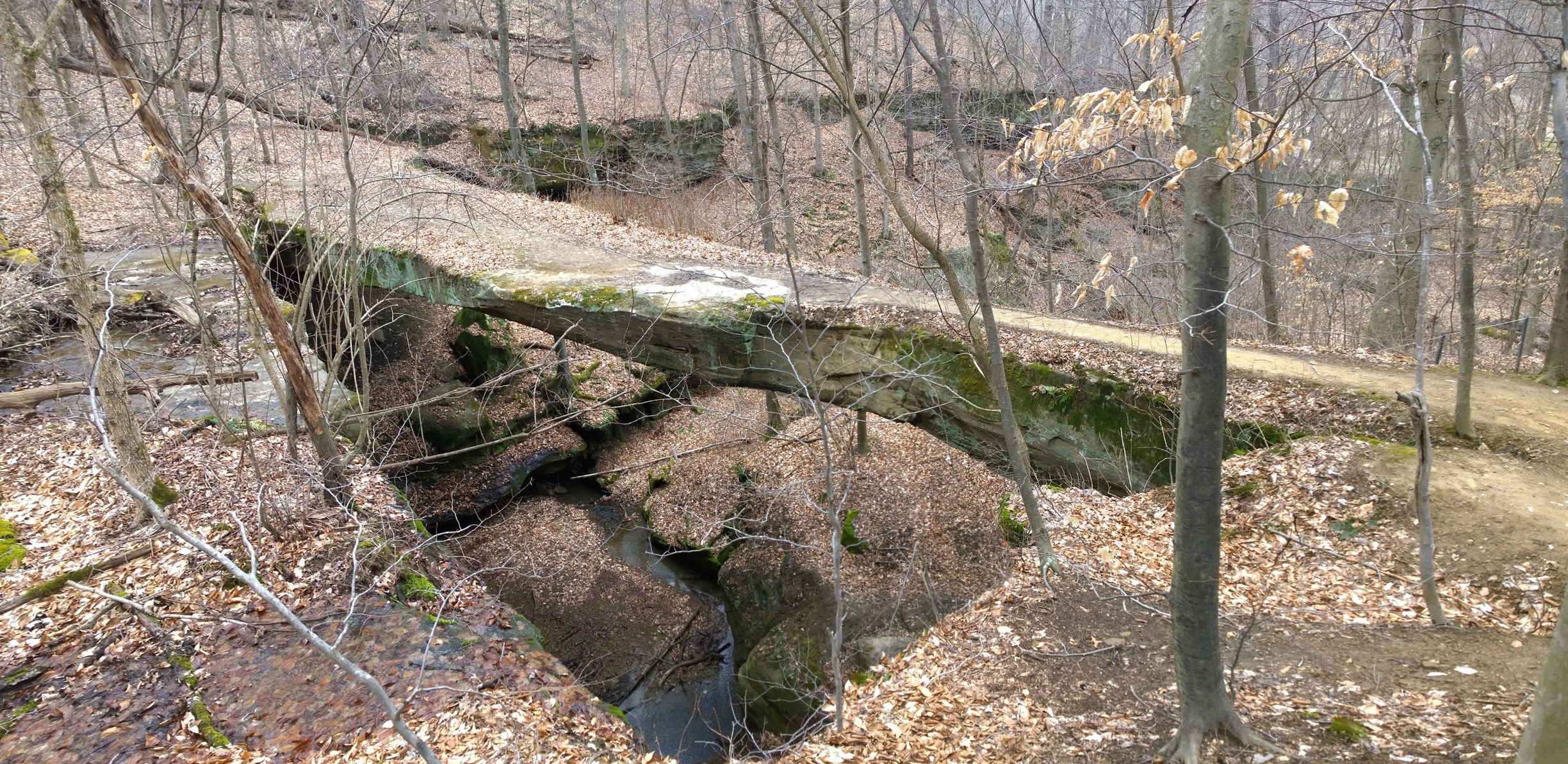 Rockbridge's natural arch or bridge is more than 100 feet long and 10 to 20 feet wide, and gracefully arches 50 feet across a ravine. It is considered the largest of the twelve natural bridges in Ohio.