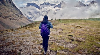 They say it’s the journey and not the destination but when the journey involves rain, thunder, & lightning, the destination becomes everything! #Adventure