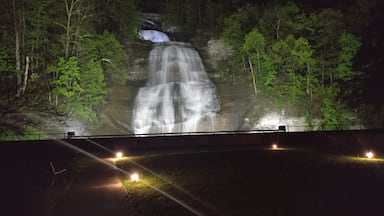 Shequaga Falls at night.