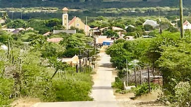 Entering the very old town of Rincon in the inland valley of Bonaire 🇧🇶. Established in the 16th century by the Spanish. Home of The Cadushy Distillery where you can sample cactus🌵juice!
#Perspectives #Rincon #Bonaire #NetherlandAntilles