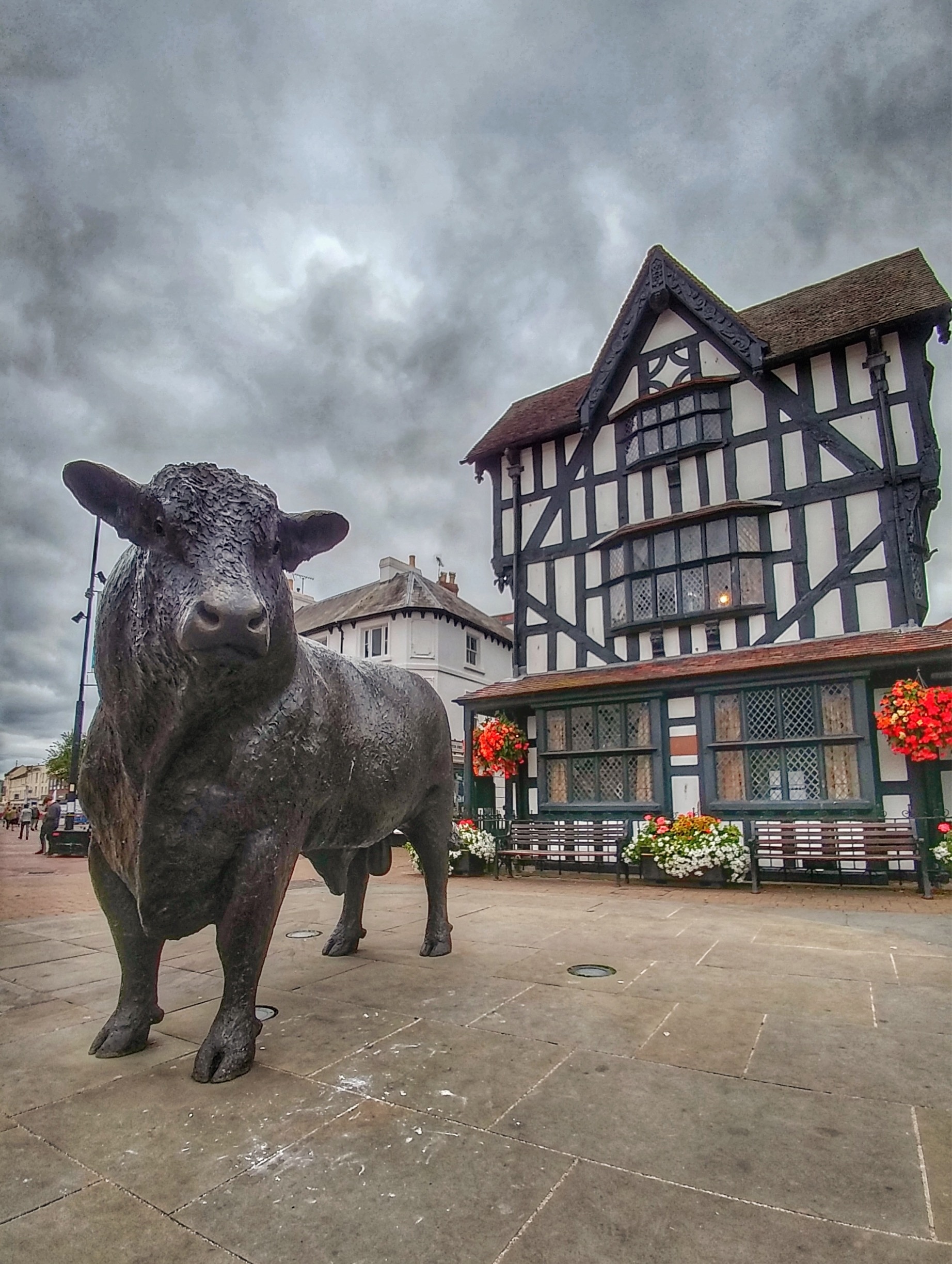 The Black and White House Museum is a well-preserved half-timbered Jacobean building in the centre of Hereford. It was built in 1621 as part of Butchers' Row. In 1816, other buildings on the row started to be demolished, and, now, Old House is the only remaining house in the original row. The house has been used by butchers, ironmongers, and bankers during its history.
Wikipedia 
The bull statue situated just outside the Black and White museum is a life sized sculpture of a Hereford bull.