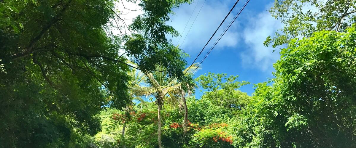 Getting ‘lost’ on St. Thomas. #lifeatexpedia