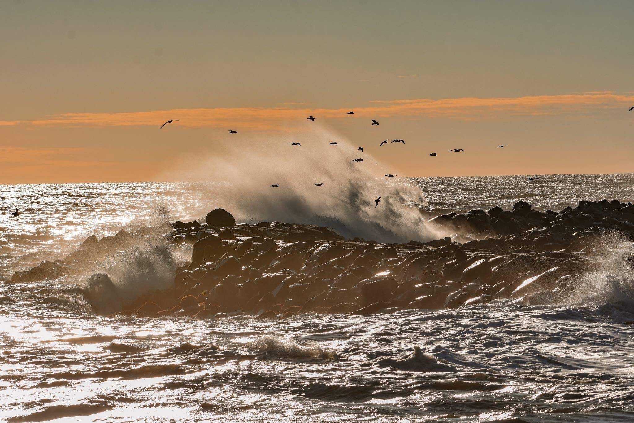 Photo by Ed St Germain