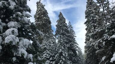 Arnold, California A perfect winter day