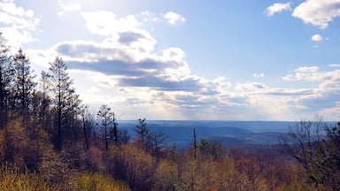 Beautiful Pennsylvania Country #hiking 