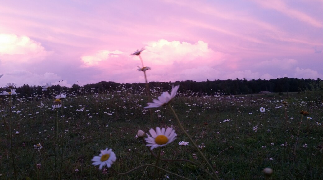 Photo de  Jody Marie