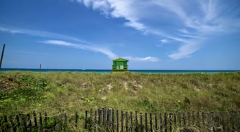 View at 77 Street - Walking along Miami Beach - 

#miamibeach #blue