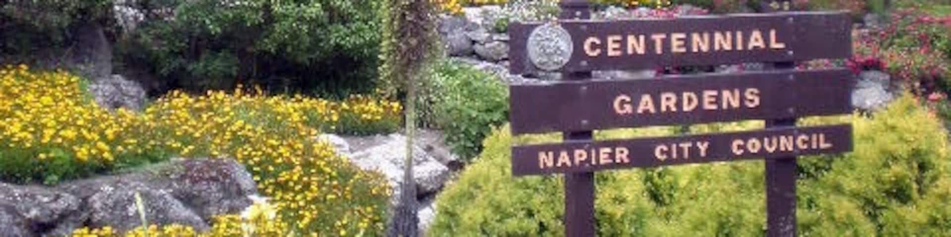 The very art-deco town of Napier also has a nice little garden to wander through.