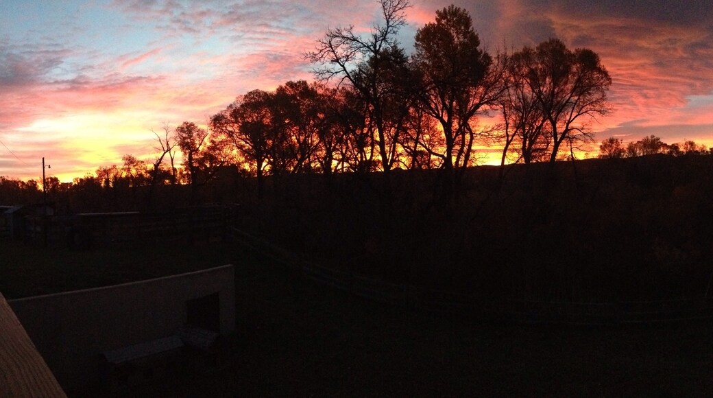 Photo de Kathleen Lowery