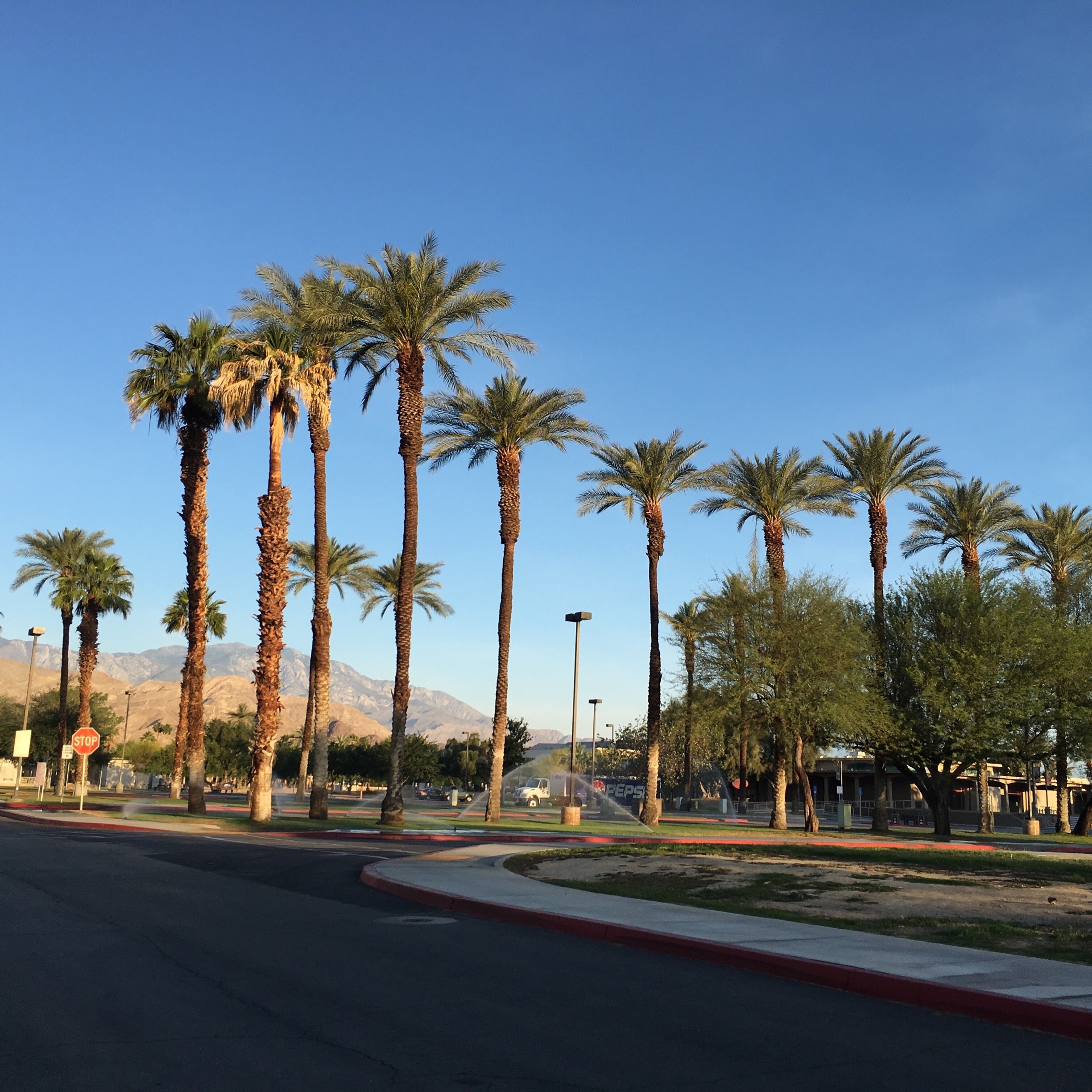 Palm Desert, California, United States of America