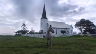 Met this friendly horse outside the old church.