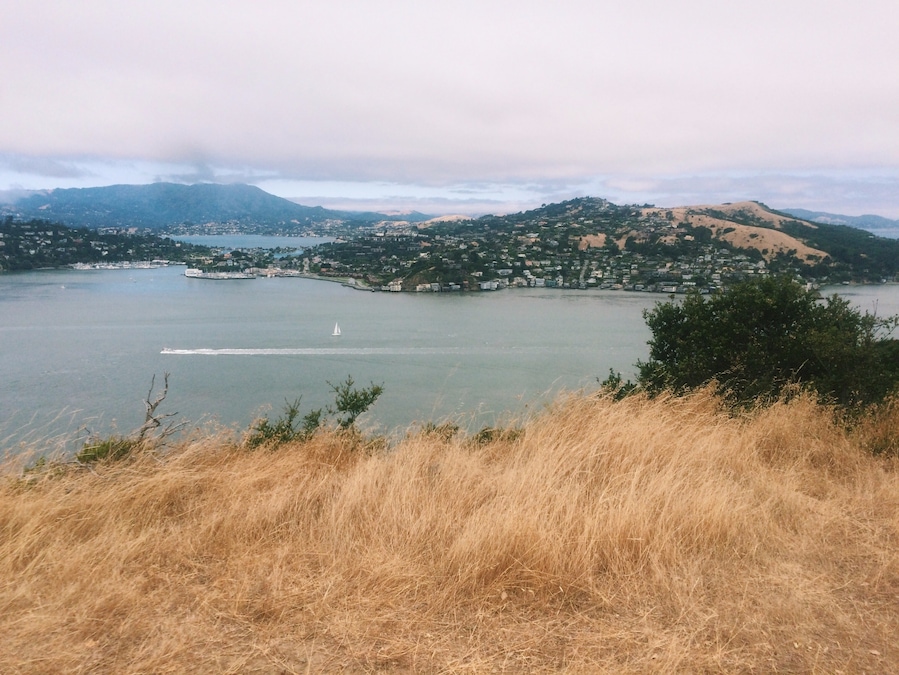 Angel Island, just a short ferry ride away from San Francisco, makes for some fantastic hiking. You get some great views of the bay, the city, and that beloved bridge. I'd recommend taking one of the morning ferries over to have plenty of time to explore. Take note of the ferry return times, so you can plan out when to head back. If you end up having to wait a bit for the return ferry, it's no problem! There's a cafe by the dock where you can grab a coffee or a snack while you wait. #TakeAHike
