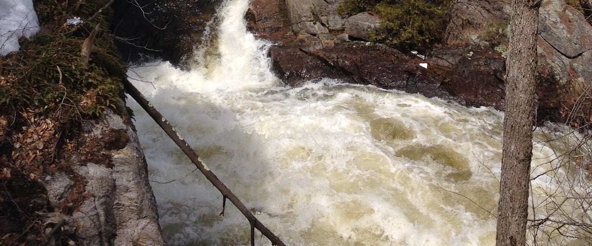 Nature #River