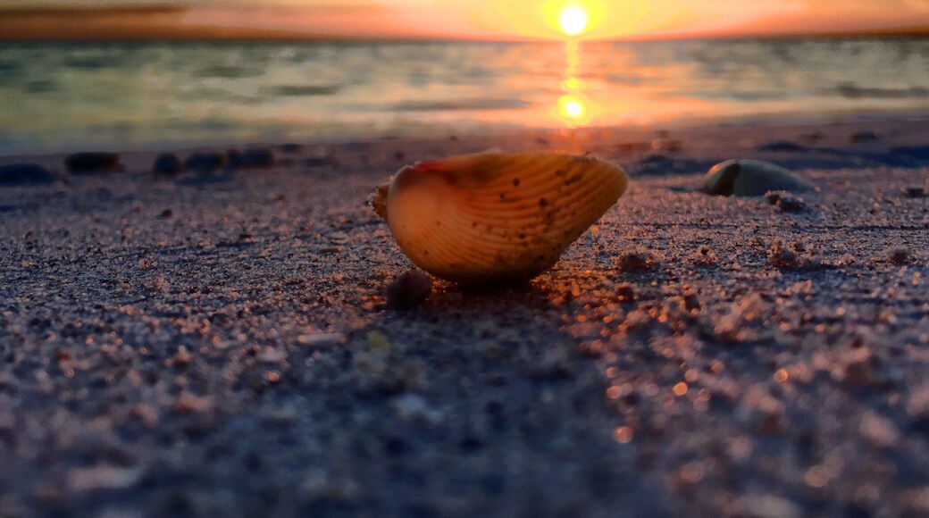 Little Gasparilla Island Beach, Placida, Florida, United States of America
