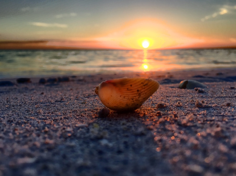 Little island in the Gulf of Mexico, no bridges,no cars, just a beautiful beach to be a shell on! #Beachbound