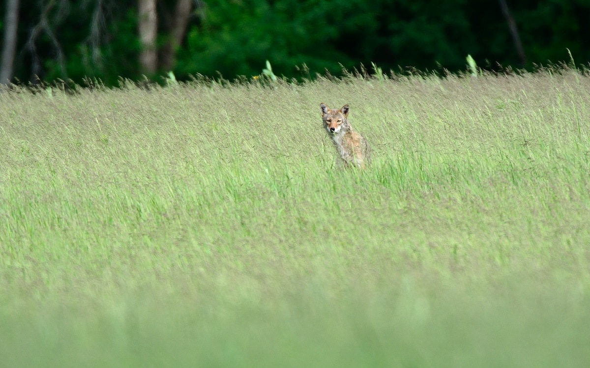 Richard Price - Barrington Hills, Illinois, United States