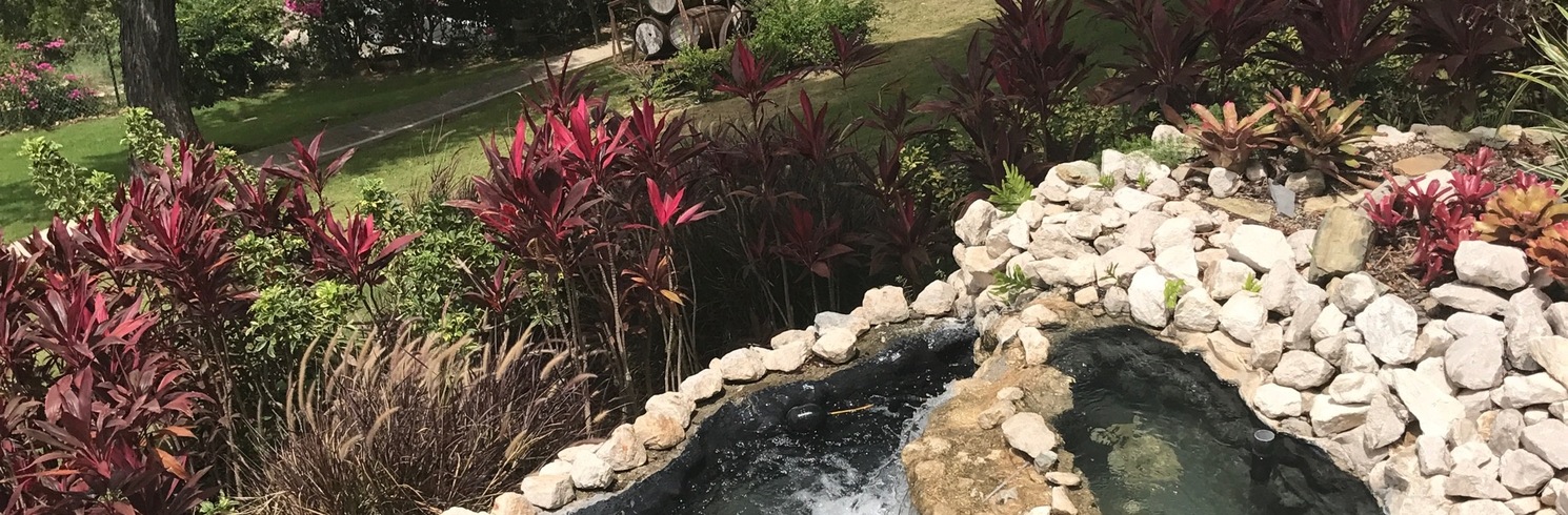 Portugués Urbano, Puerto Rico