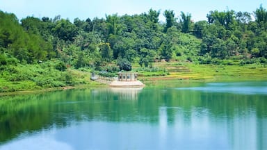 Sea lake is considered as the pearl of Central Highlands in Vietnam. This area has an incredible green color. Sea lake is one of the most peaceful and beautiful lake I have ever seen. #LifeAtExpedia #Green