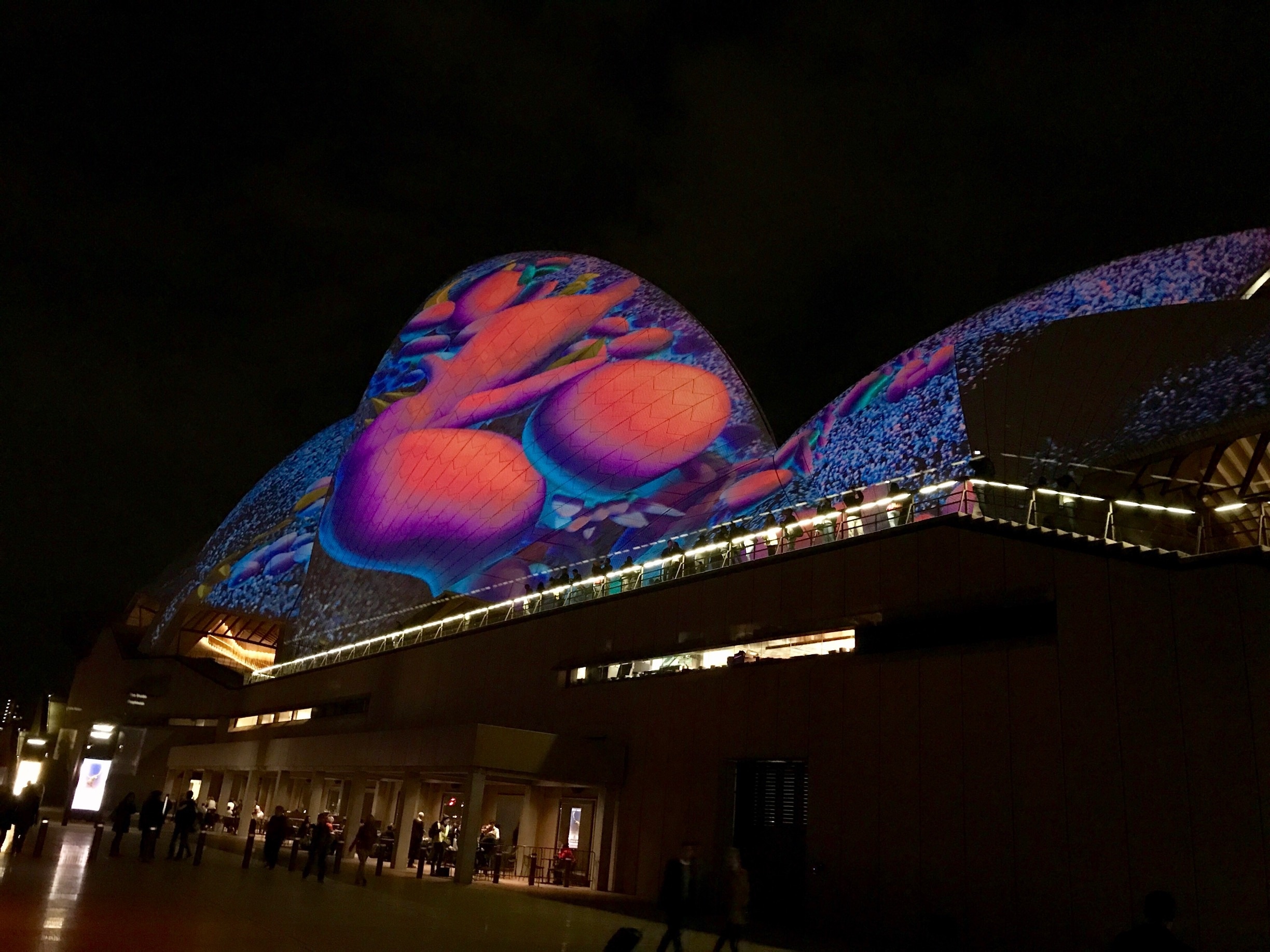 Vivid Sydney was way more awesome than I thought it would be! So amazing and spread out over the city! Highly recommend checking it out and/or planning your trip around it if your able to or looking to go around June