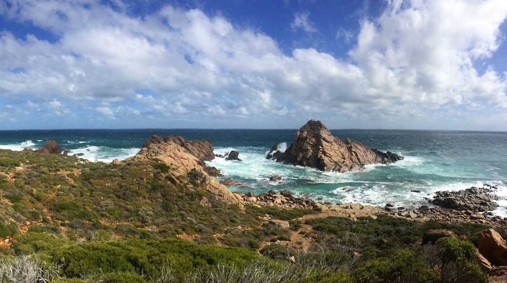 Photo by Steph Dobson