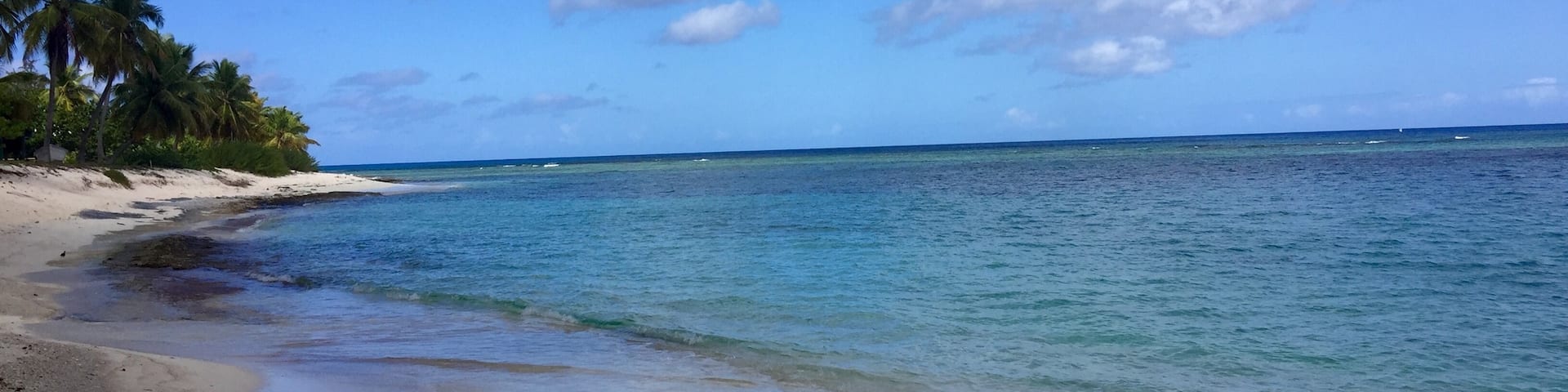 マヤグエース, プエルトリコ