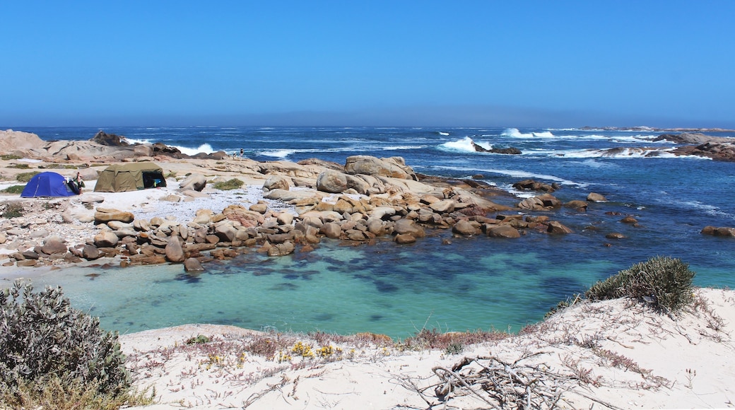 Saldanha Bay, Western Cape, Etelä-Afrikka