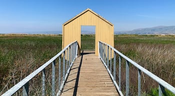 Nice little marsh on the edge of San Jose, CA.