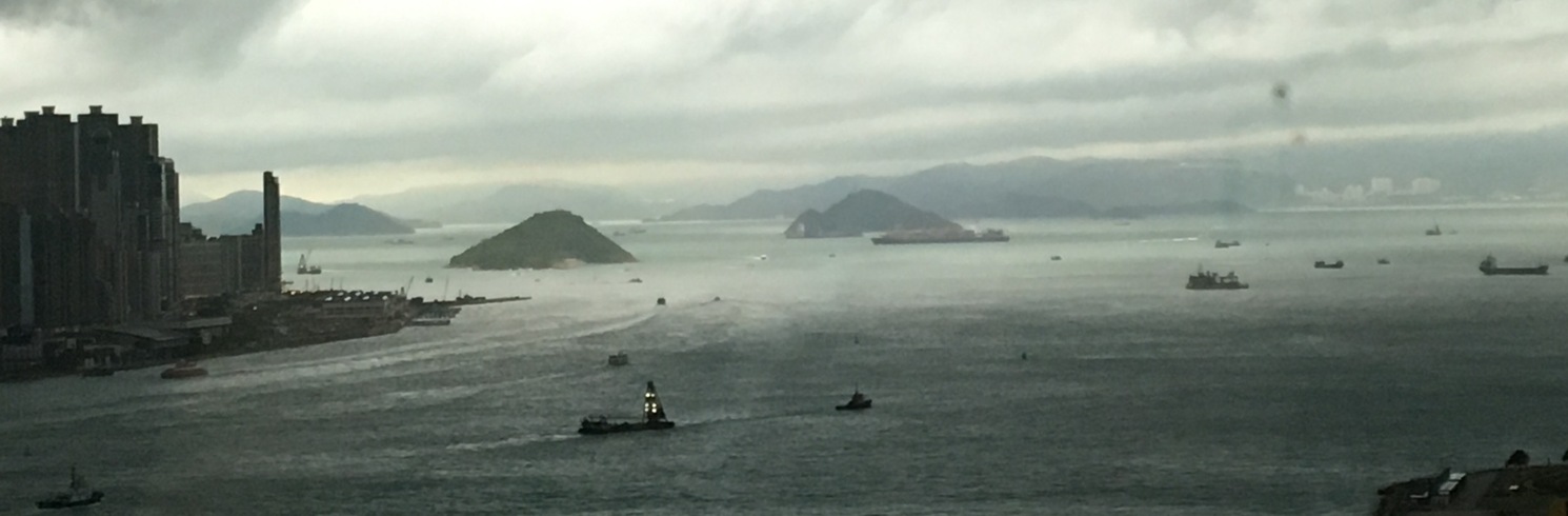 Ostrov Tsing Yi, Osobitná administratívna oblasť Hongkong