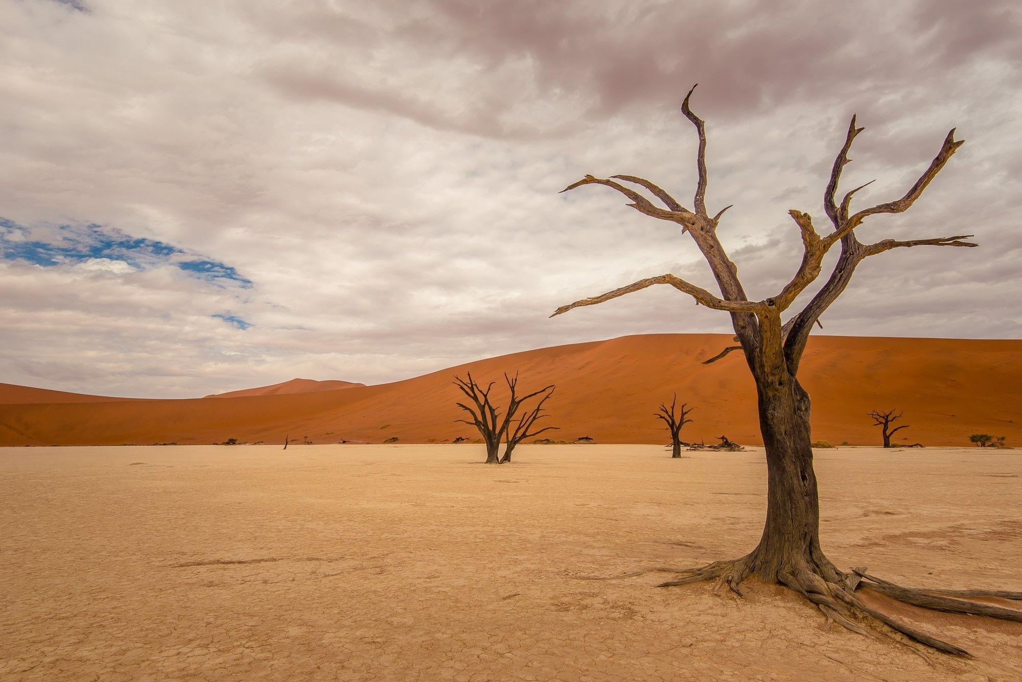 Dead Vlei Vacation Rentals: & more | Vrbo