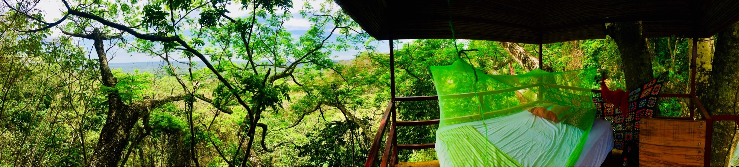 This beautiful treehouse with 360 views of the jungle was our romantic escape for a night. 🔮🌎👑