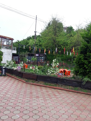 Tirebolu, Giresun, Turkey
#SpringFun