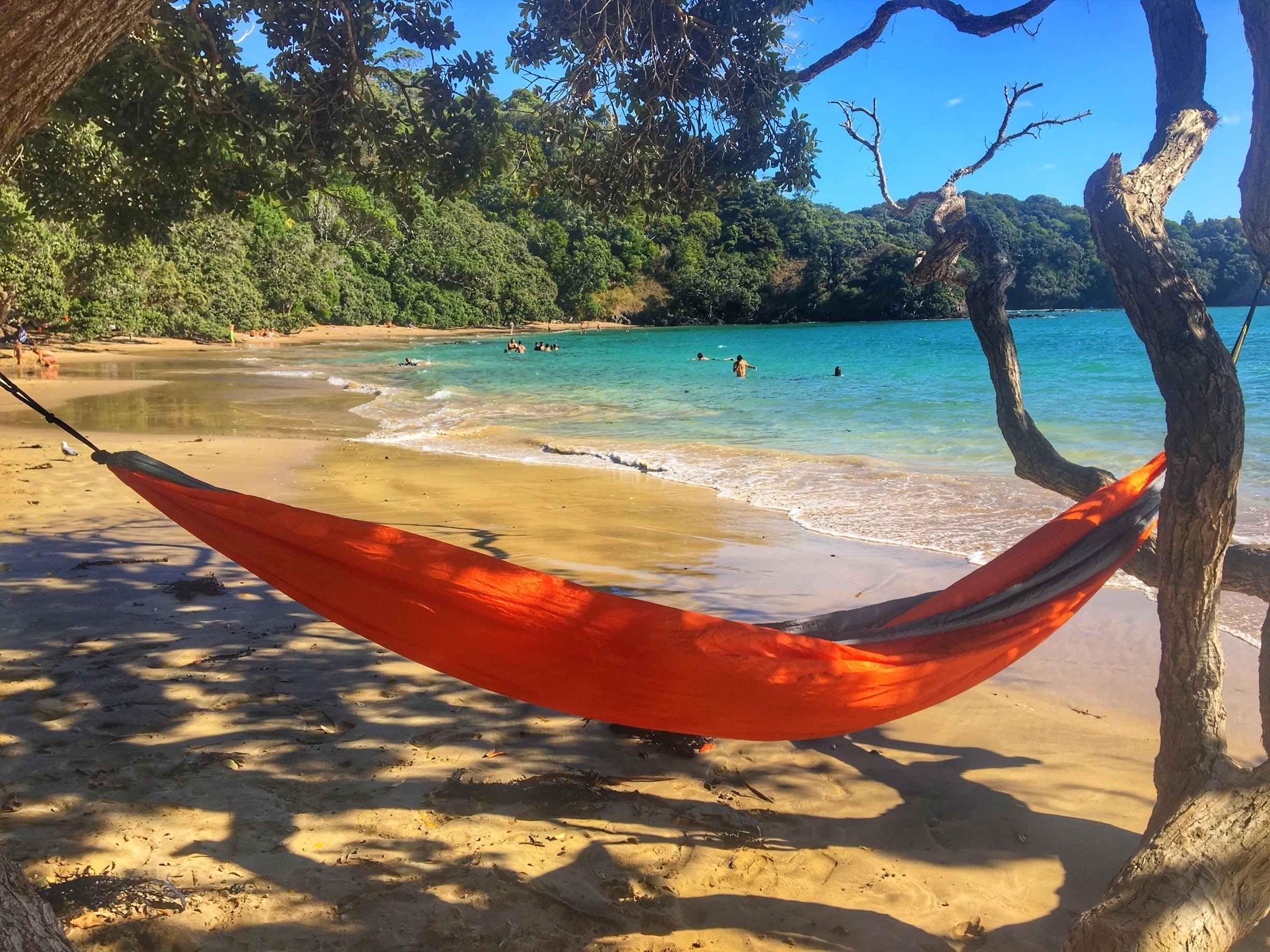 Want to set up your hammock here? Head up to Whale Bay, just outside of Whangarei, Northern NZ. Just a short hike down from the car park and this stunning beach with calm waters is all yours. 
#whalebay #whangarei #newzealand #northisland #hiddengems #explore #travel 