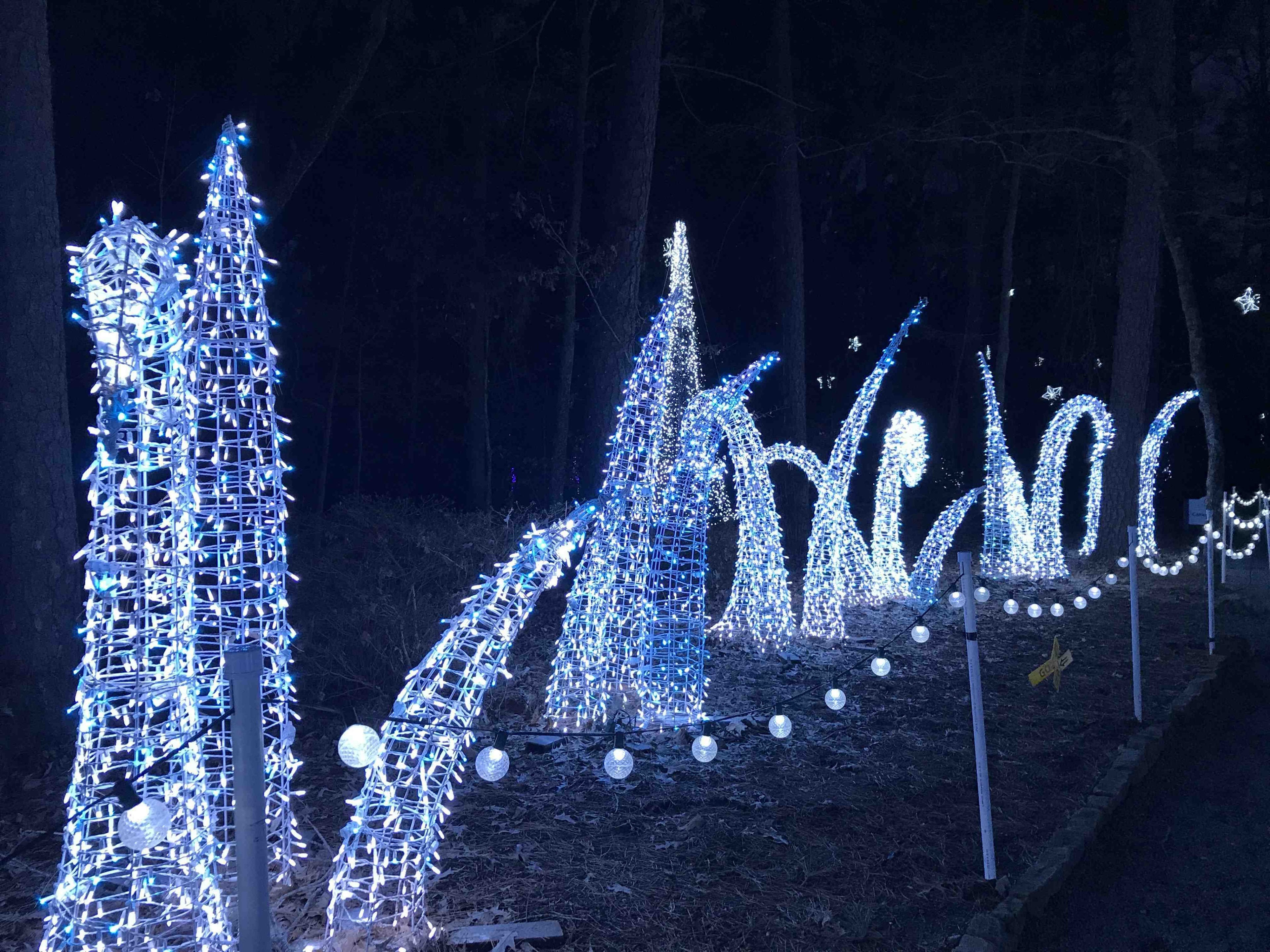 Beautiful light display at Garvan Woodland Gardens holiday lights.
#holidaylights #arkansas #hotsprings #blue