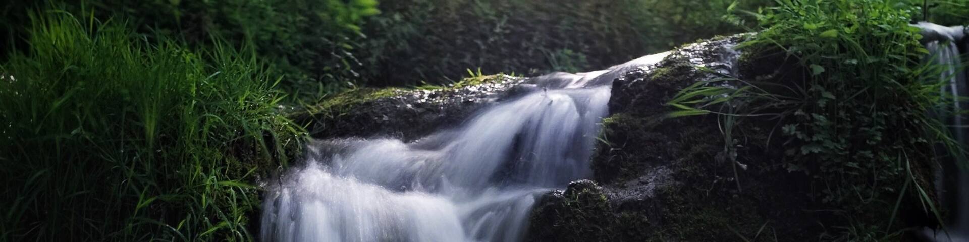 The waterfalls on the river Lathkill in the English Peak District are by no means huge but with some summer greens and the right light they can look amazing. #nature