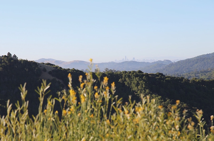San Francisco in the distance.