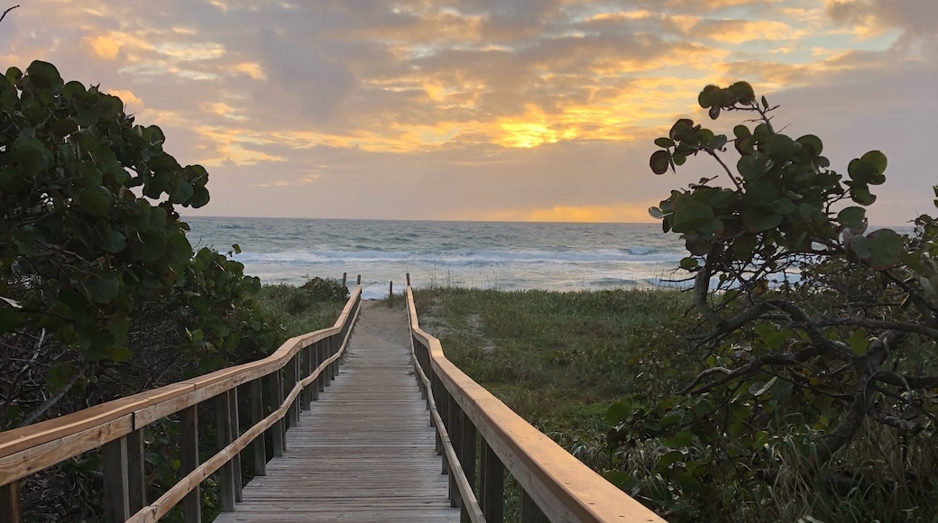 Visit Ocean Ridge: 2021 Travel Guide for Ocean Ridge, Florida | Expedia