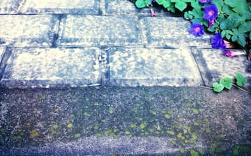 亀戸観光ガイド 定番人気スポットを参考に自分にピッタリの観光プランを立てよう エクスペディア 亀戸観光ガイド 定番人気スポットを参考に自分にピッタリの観光プランを立てよう エクスペディア
