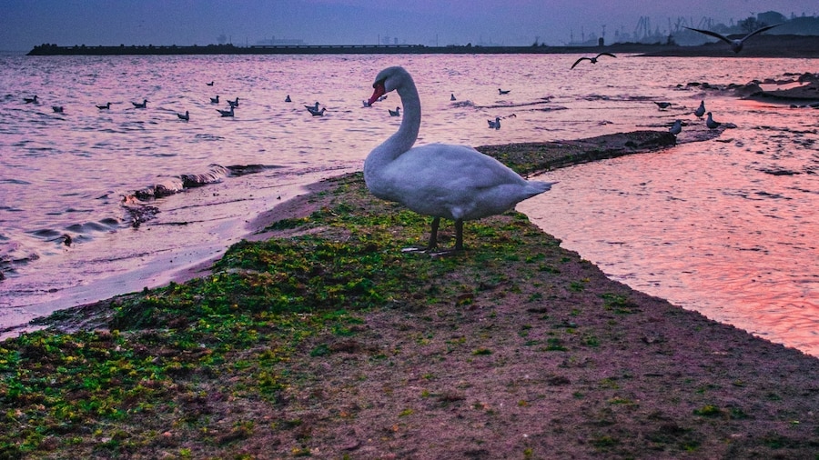 Seascape.
#Hometown