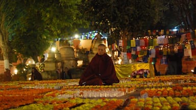 The Mahabodhi Temple is an abode for meditators. The compound exudes peace.
