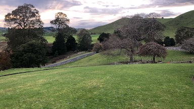 The lush winter colours of the farmland in the central north island at sunrise. 