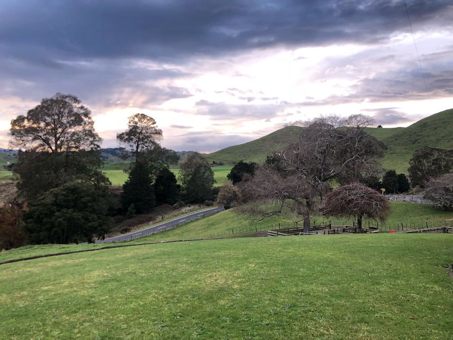The lush winter colours of the farmland in the central north island at sunrise.
