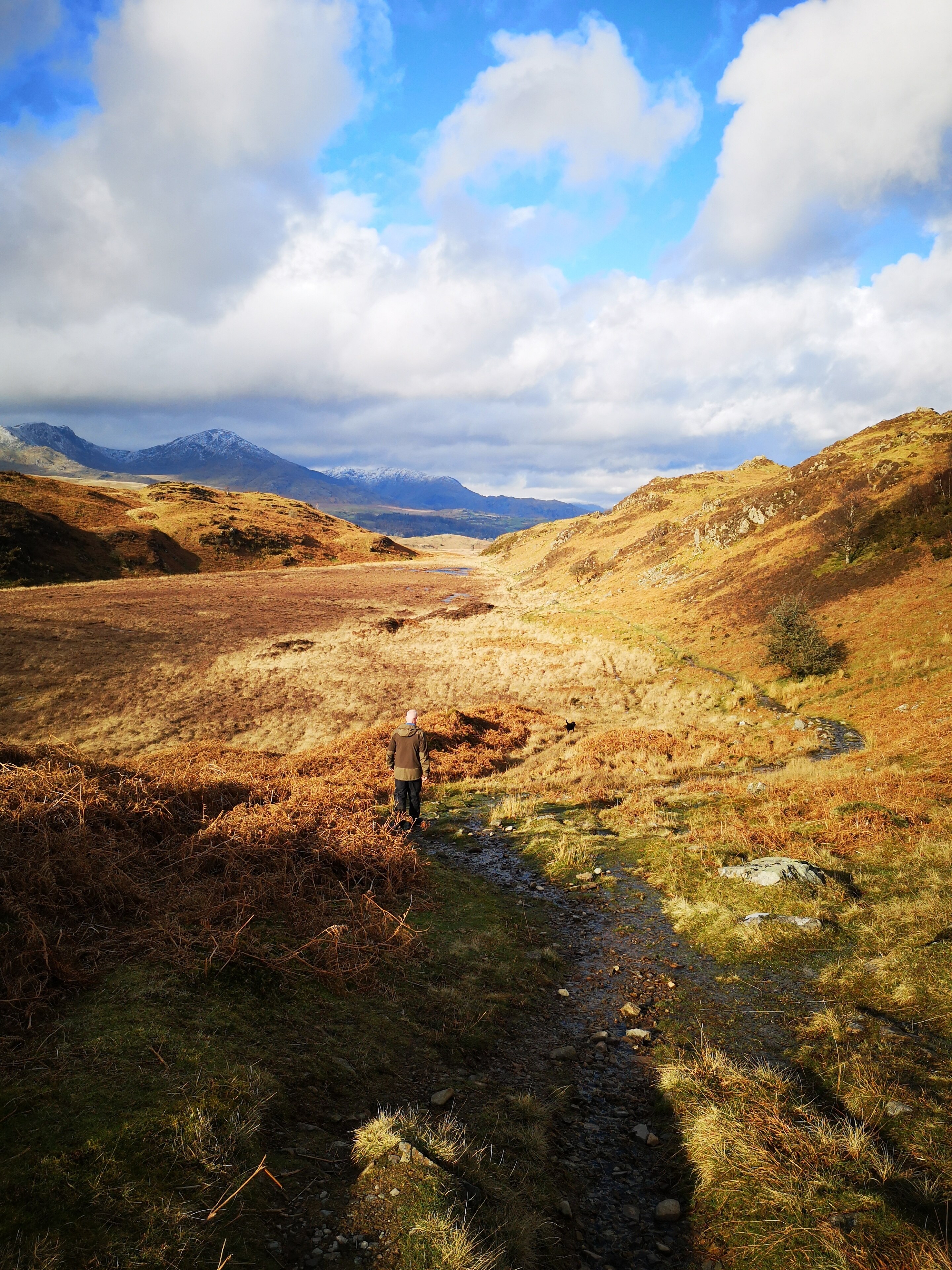 Valokuva: Sharon Sunshine 