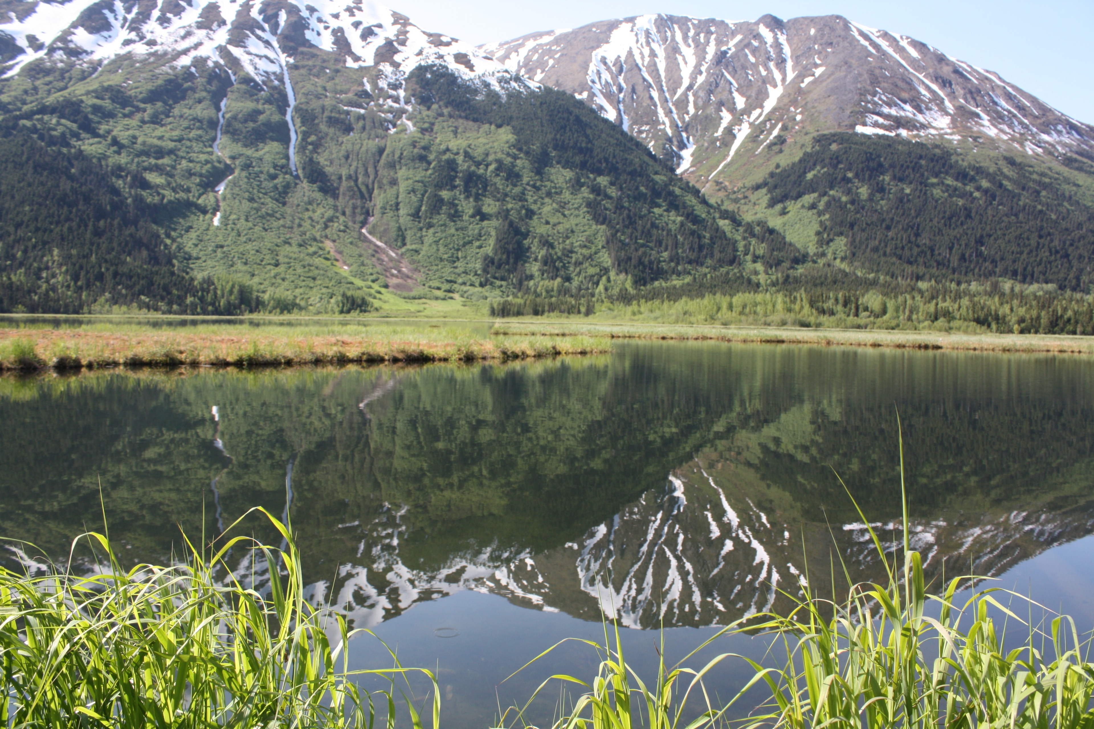 Besök Moose Pass det bästa med Moose Pass resa i Alaska 2024