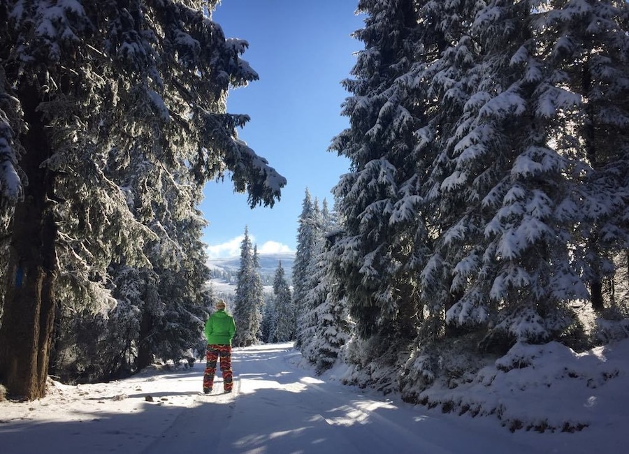 One of the most beautiful places I have ever seen in Romania and the entire world!
It had just snowed, there was no other soul in sight, and the skies were cloudless.
Sureanu Mountains = a must!
#WinterWonders #GreatOutdoors
P.S. How a winter fairy tale feels like (in Romanian)--
https://bit.ly/3arbshd