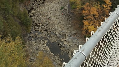 The suspension bridge over the Coaticook Gorge is the longest pedestrian suspension bridge in the world. Visiting in Early October will afford you views of the autumn colours.  
