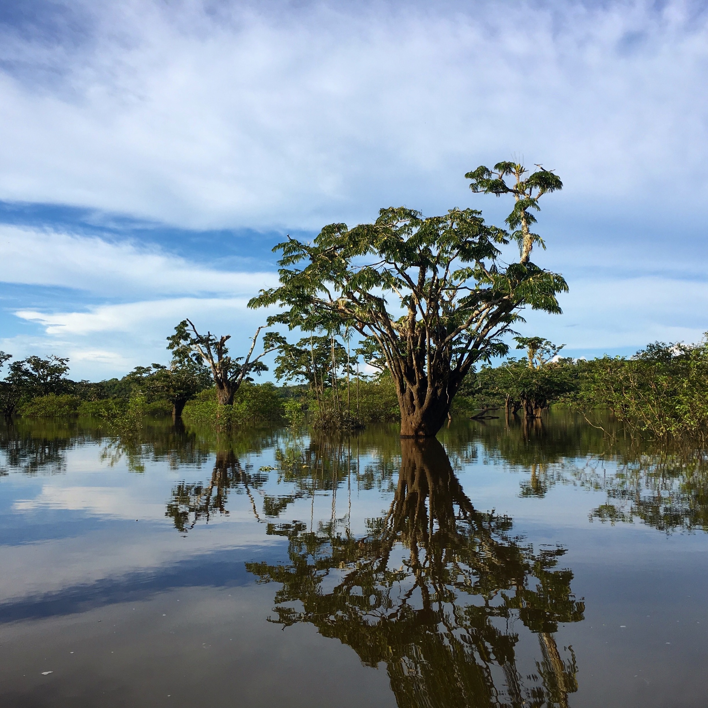 CUYABENO LODGE - Hotel Reviews (Cuyabeno Wildlife Reserve, Ecuador)